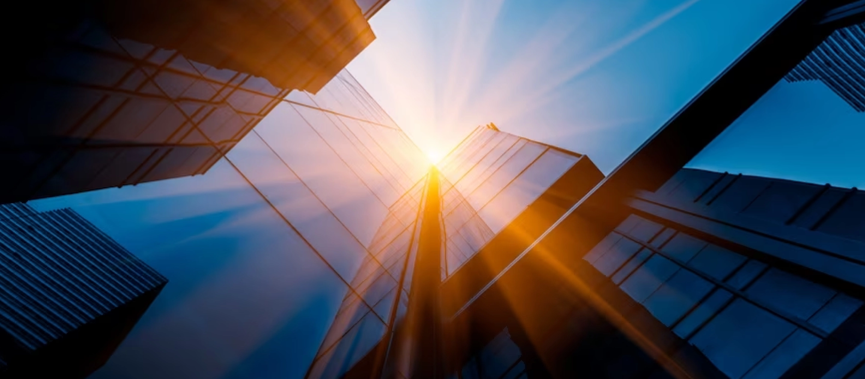 Bridging Medicine & Law: Legal Nurse Consultants Simplify Complexity